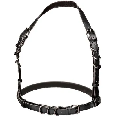 Harnais Euphoria Boucle Licol Noir - CalExotics