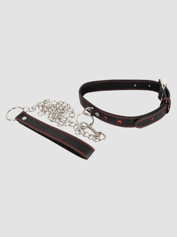 Collier & Laisse Coeurs