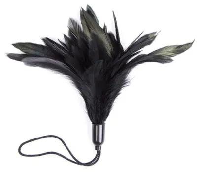 Accessoire pour chatouilles HORN TICKLER Noir