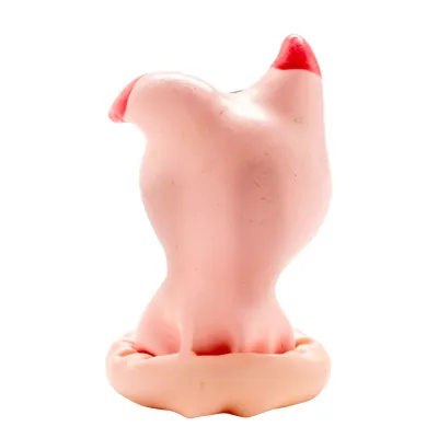 Préservatif Fantaisie Tête de Cochon Peint à la Main - Condomerie