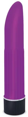 Stimulateur de clitoris NYLY 13 x 2.5cm Violet
