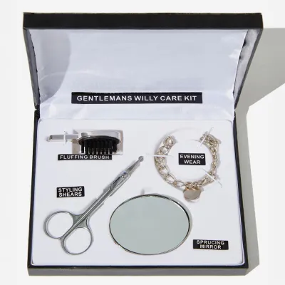Kit d'entretien bijoux de famille Willy care it -