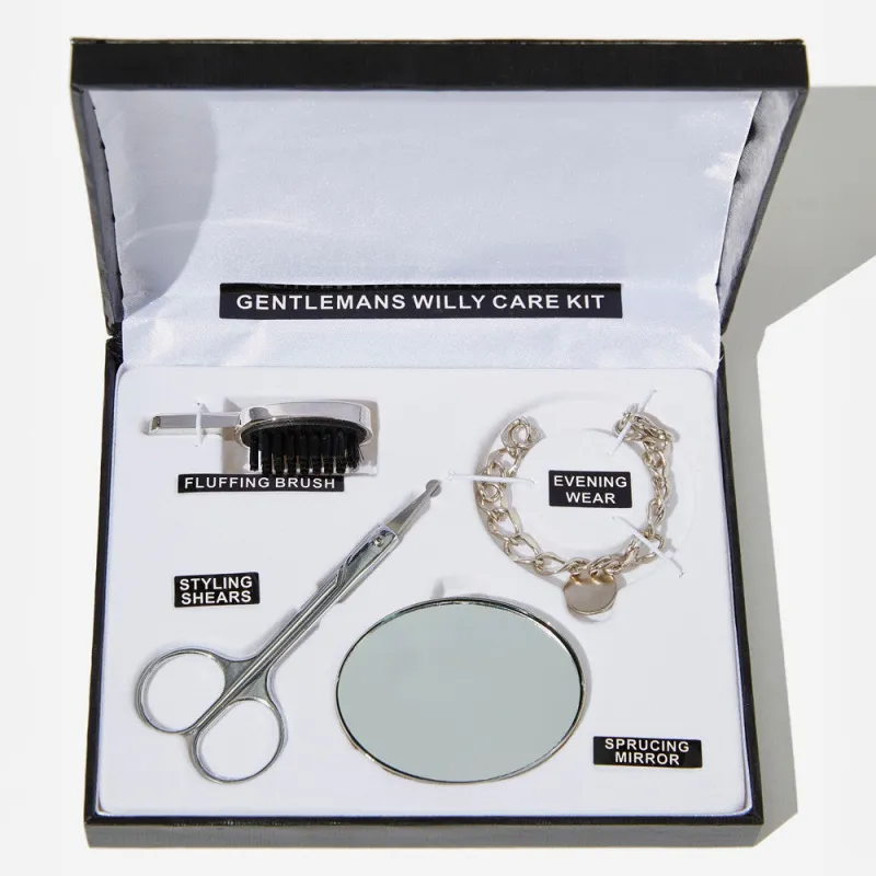 Kit d'entretien bijoux de famille Willy care it -