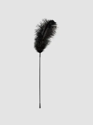 Grand Plumeau Noir