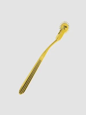 Roulette de Wartenberg Bondage in Luxury