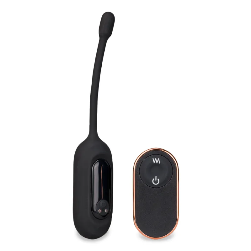 Oeuf vibrant télécommandé Eureka - Vibromasseur à distance pour couple