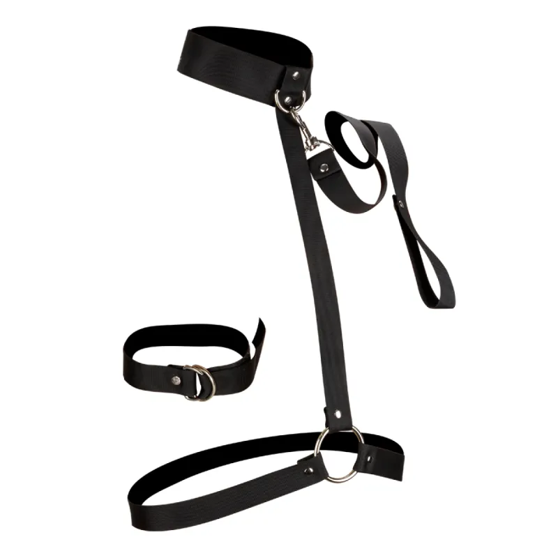 Harnais BDSM cou et taille avec laisse