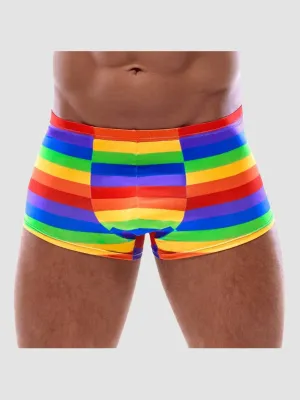 Boxer arc-en-ciel