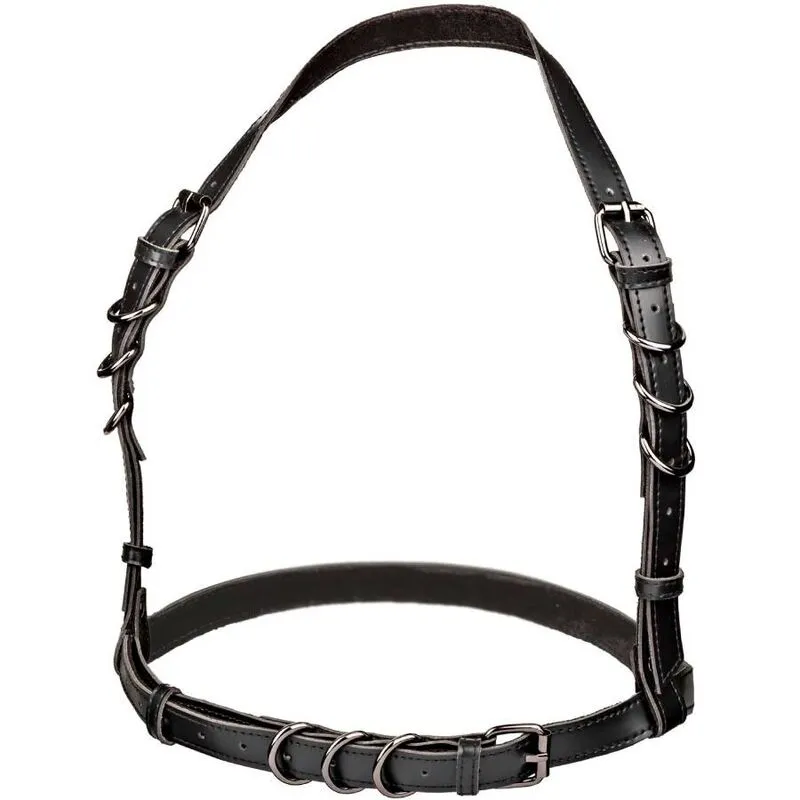 Harnais Licol Euphoria Taille Plus Noir - CalExotics