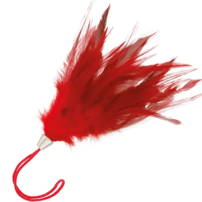 Plumeau Érotique Mini Caresse Rouge 17cm - Darkness