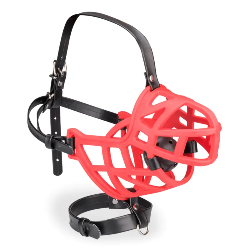 Muselière avec gag-ball amovible
