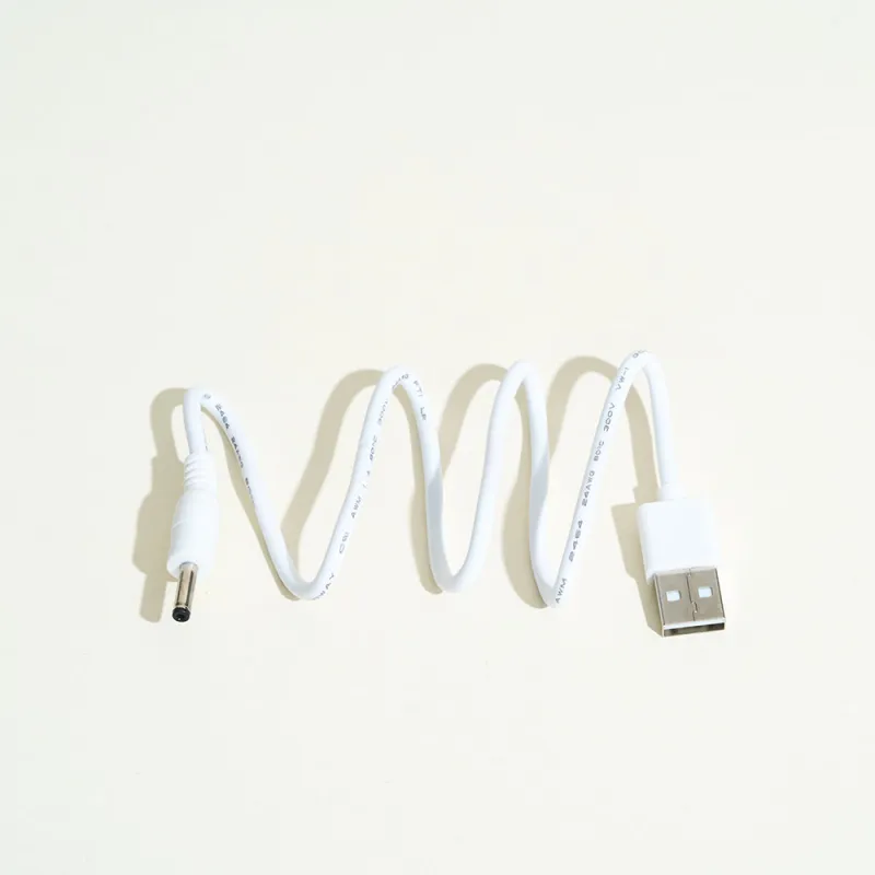 Chargeur LELO USB -