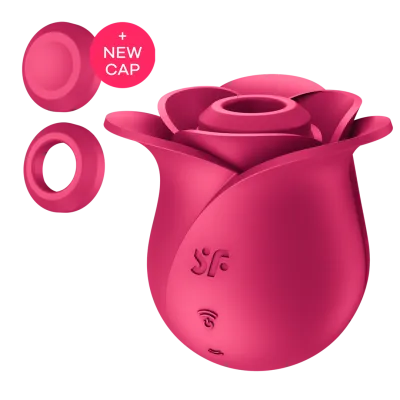 Satisfyer Pro 2 Modern Rose Vibromasseur À Pression D'air 16 cm