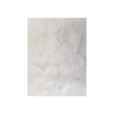 Fausses Pétales de Fleurs x100 Blanc