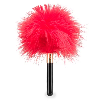 Petit plumeau pour jeux coquins Caress