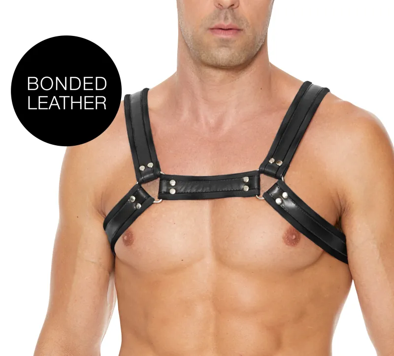 Ouch! Harness Harnais BUCKLE BULLDOG Noir