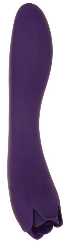 Vibro et Stimulateur de clitoris THORNY ROSE 20cm