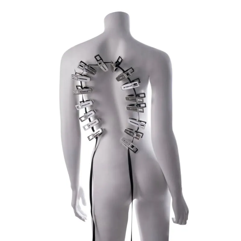 Sportsheets - Edge Body Zipper Clothes Pins - Argent