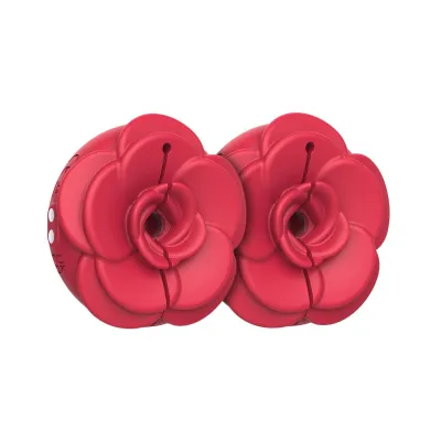 Teazers Pinces à Seins Vibrantes