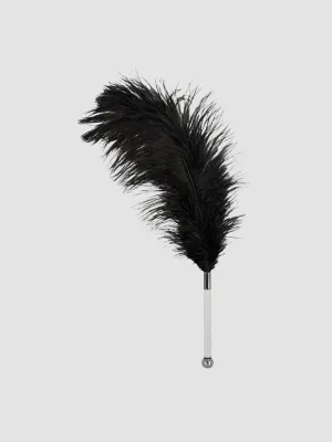 Plumeau Plume Noire
