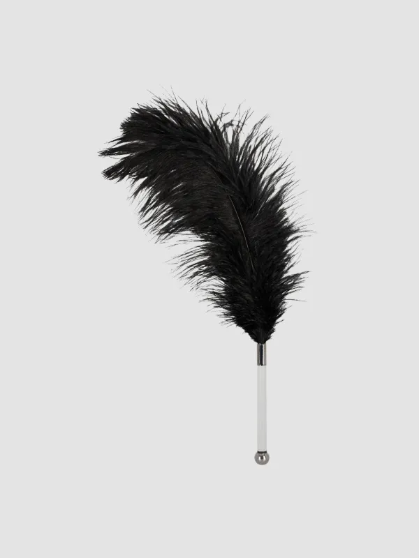 Plumeau Plume Noire