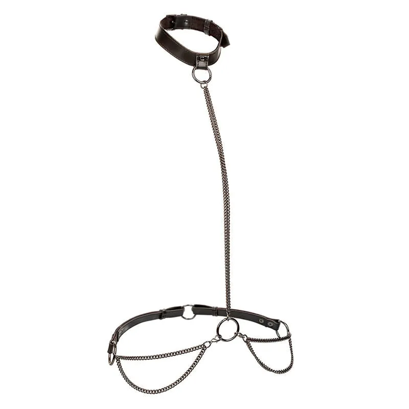 Collier Laisse Chaîne Euphoria Cuir Végétalien - CalExotics