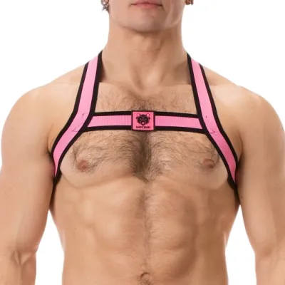 Harnais élastique COLIN Rose