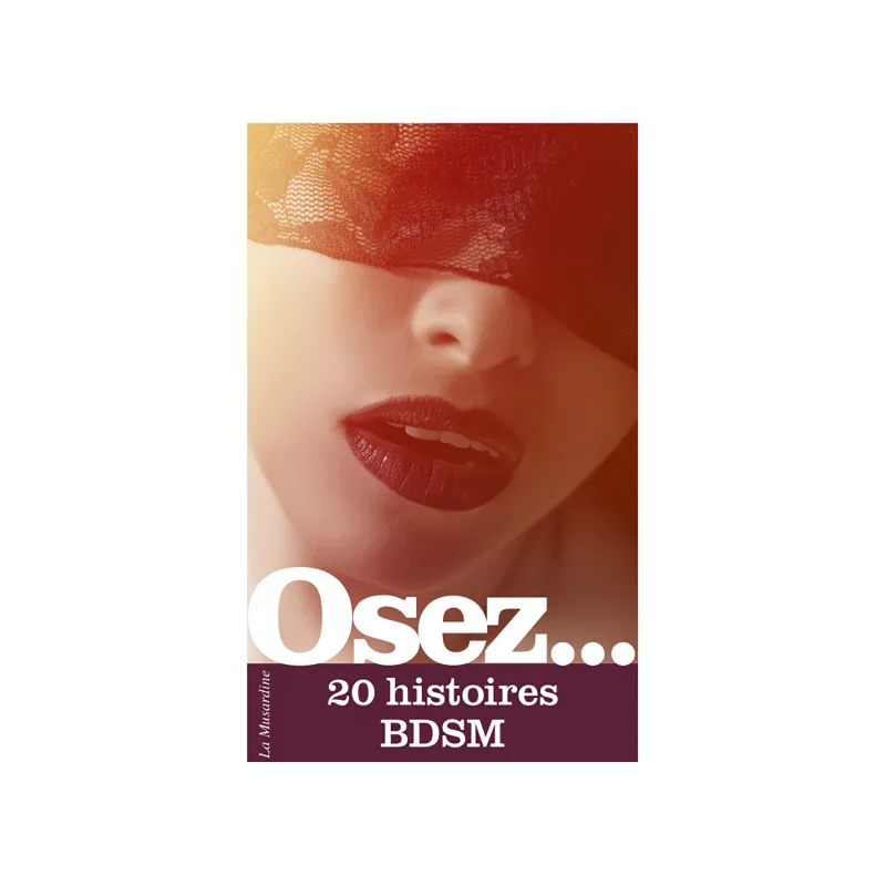 Osez 20 Histoires BDSM