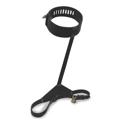 Contrainte BDSM dorsale