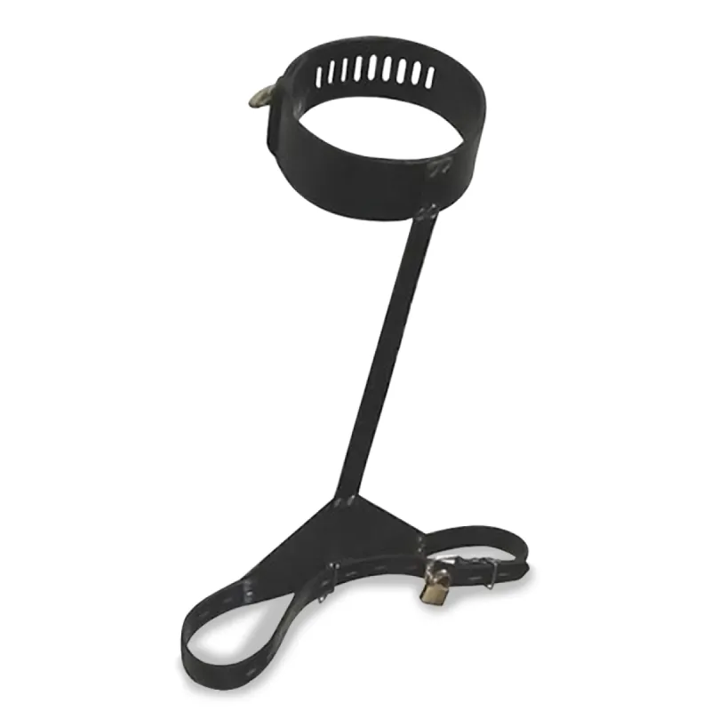 Contrainte BDSM dorsale