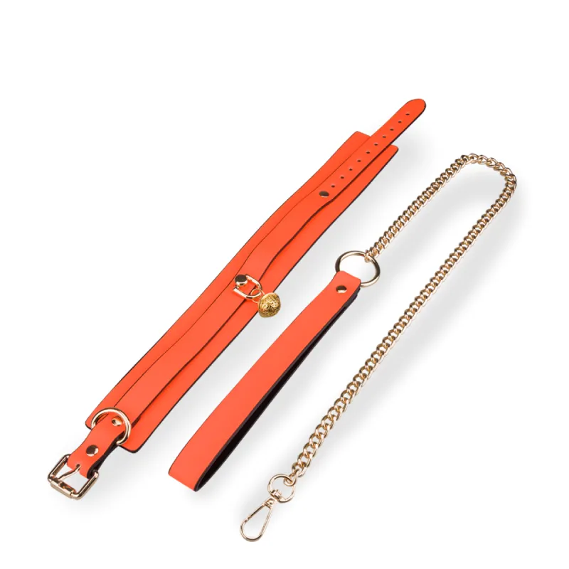 Collier et laisse fluorescents orange