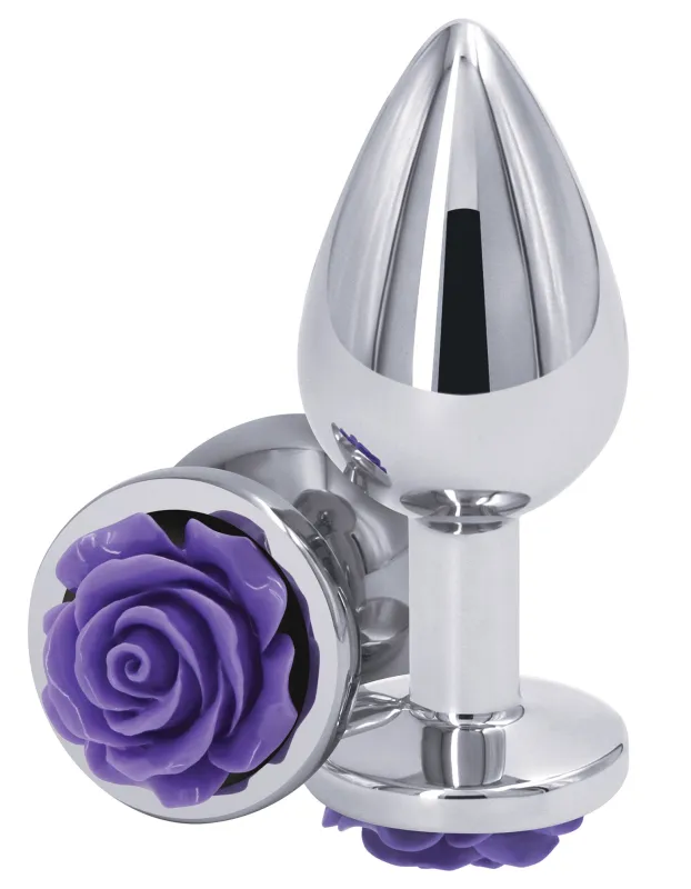 Plug Bijou REAR M 7 x 3.4cm Argenté-Violet