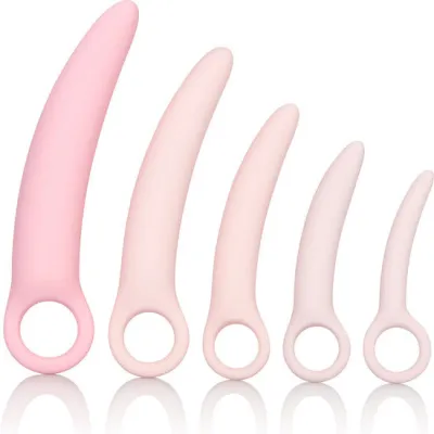 Kit Dilatateurs Vaginaux Inspire Silicone Médical 5 Tailles - Calexotics